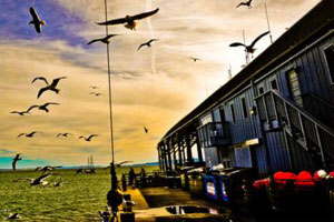 在线短信轰炸软件