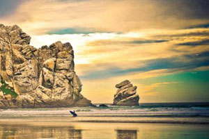 骚扰短信呼叫软件