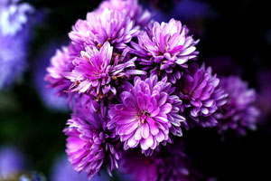 加特林短信测压